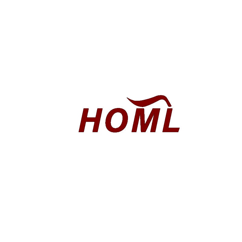 [23类]HOML