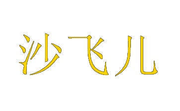 沙飞儿 