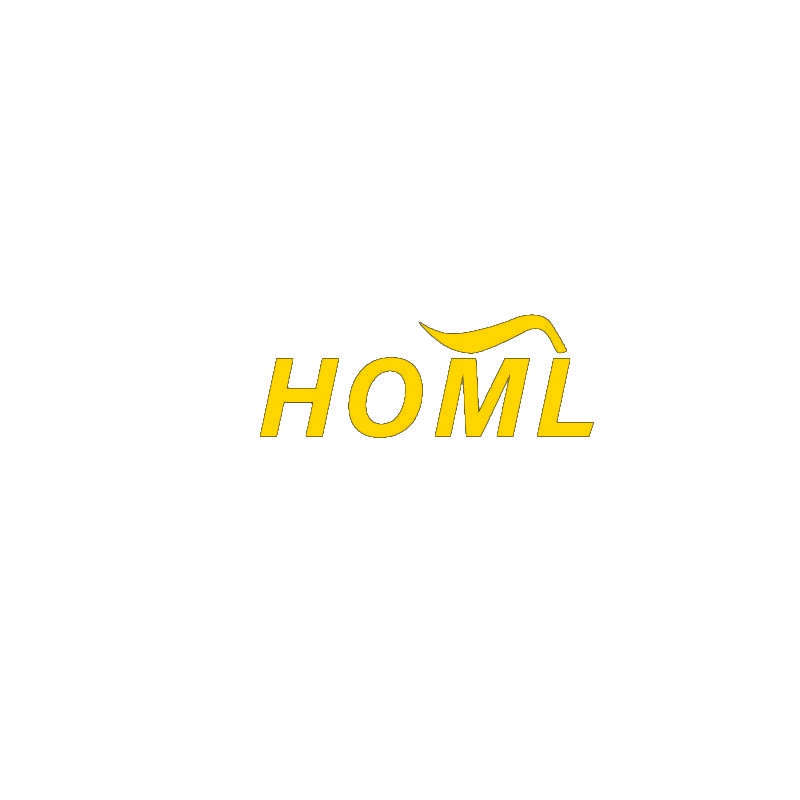 [40类]HOML