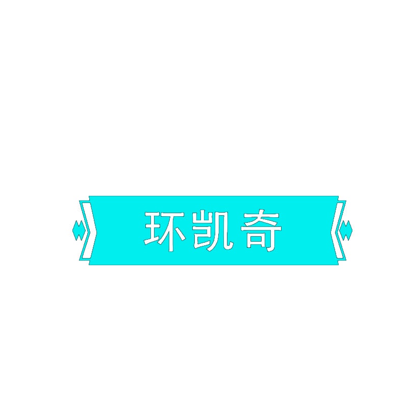 环凯奇 