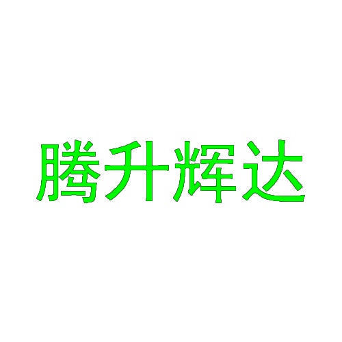腾升辉达 