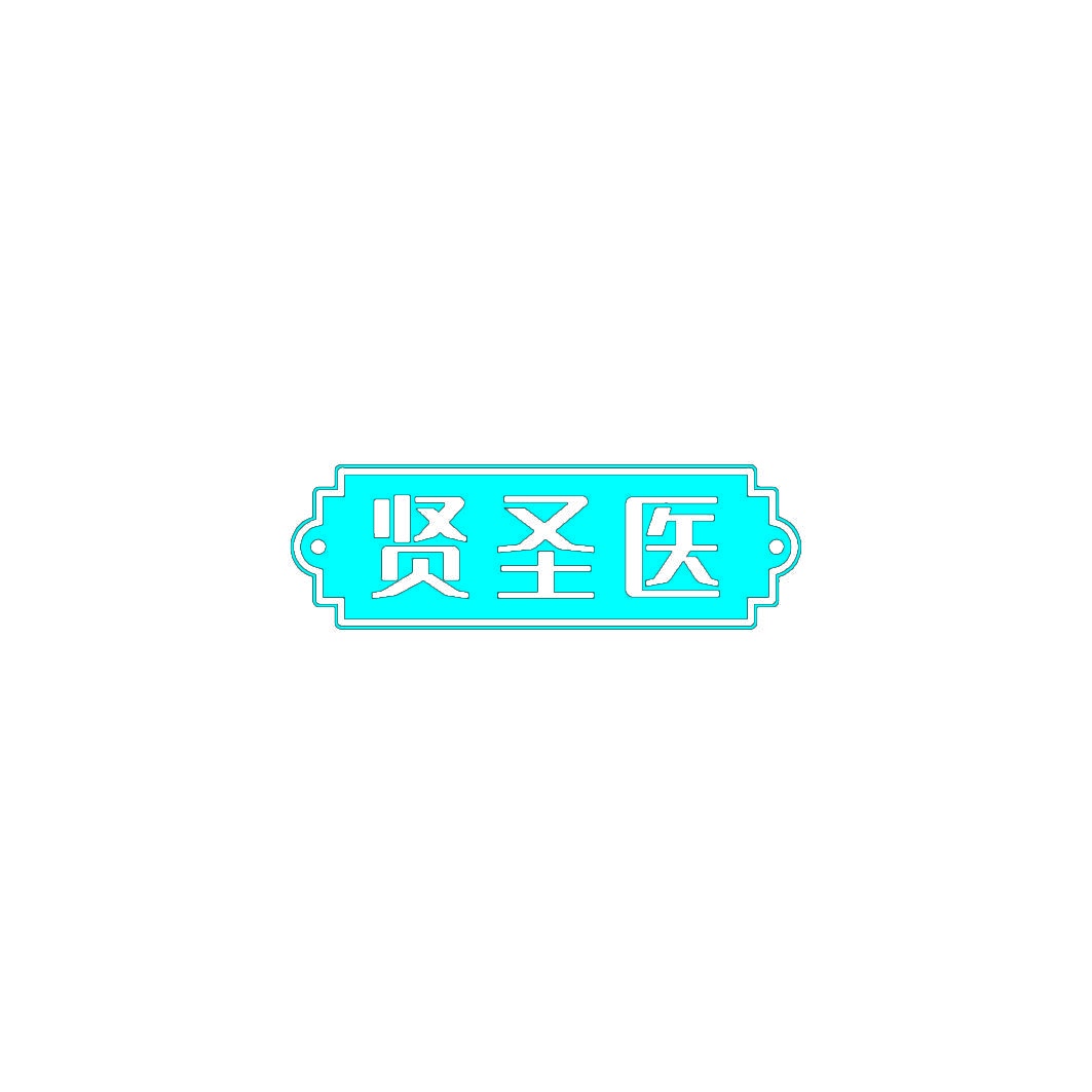 贤圣医 