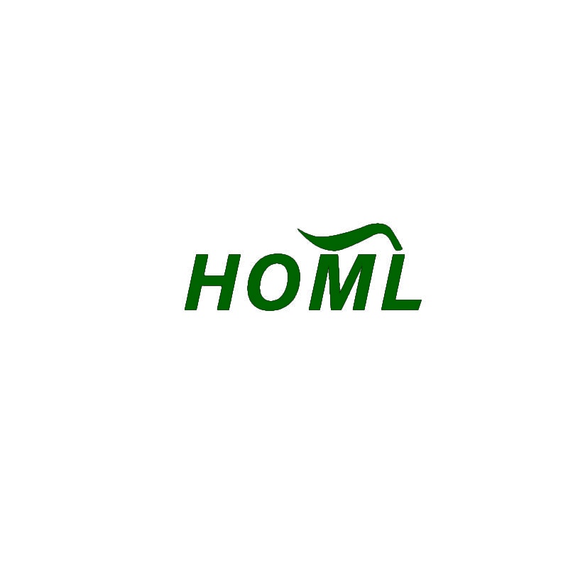 [19类]HOML