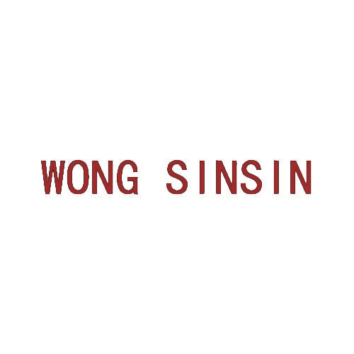 WONG SINSIN 