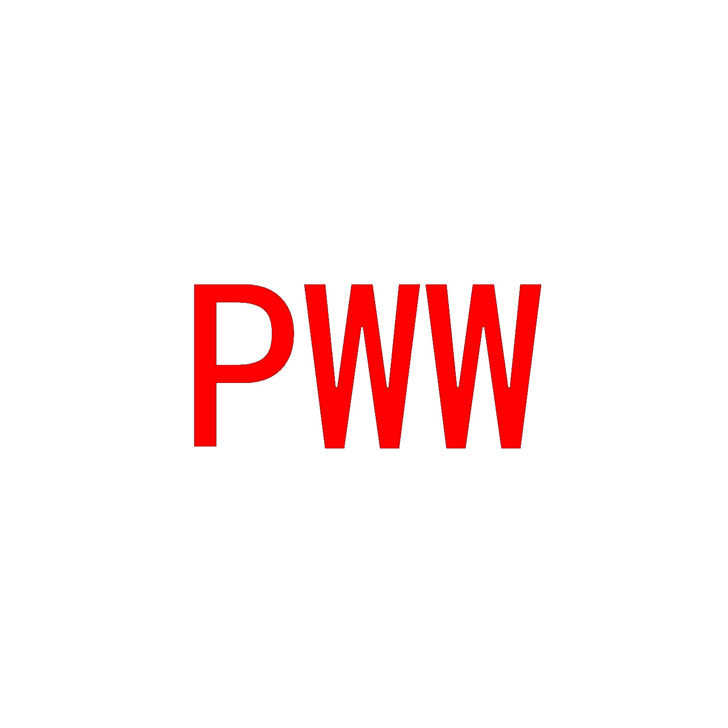 [27类]PWW
