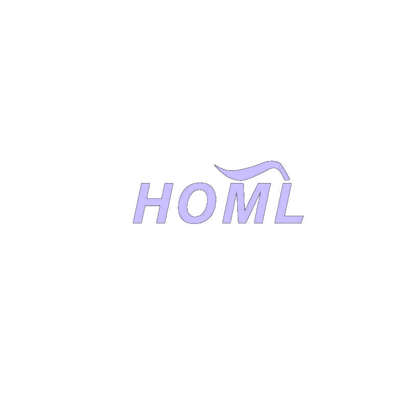 [14类]HOML