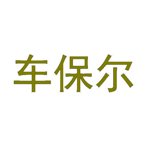车保尔 