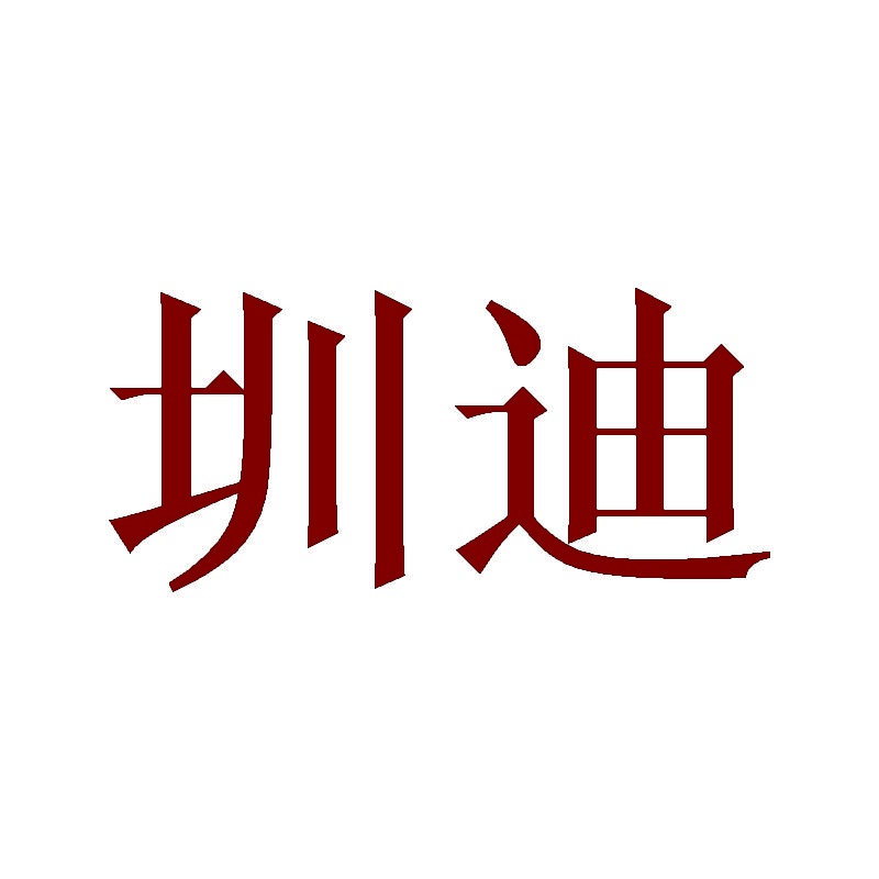 圳迪 