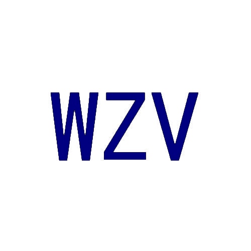 [30类]WZV