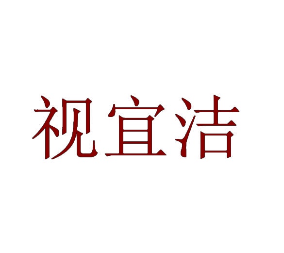 视宜洁 