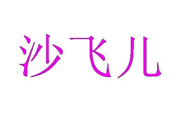 沙飞儿 