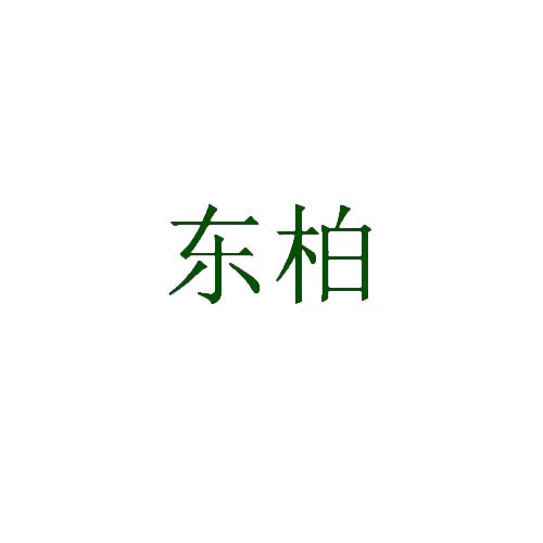 [16类]东柏