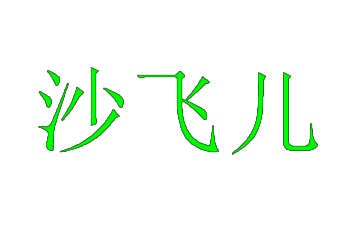 沙飞儿 