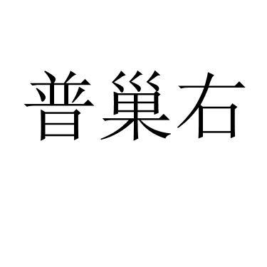 普巢右 