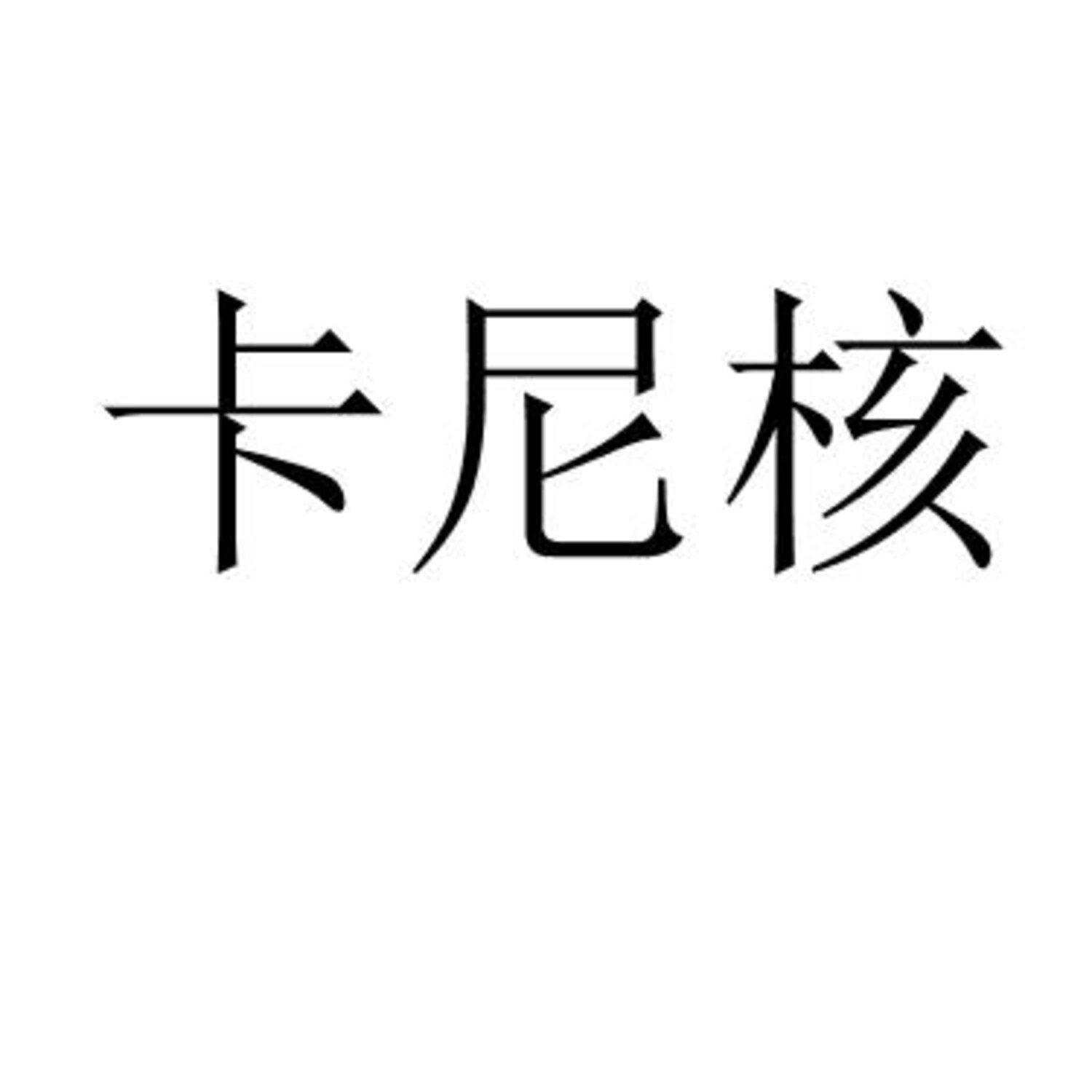 卡尼核 