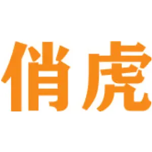 [12类]俏虎