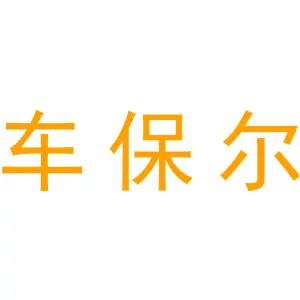车保尔 