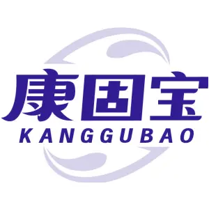 康固宝 